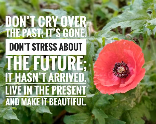 Deep Healing Quotes to Restore, Reflect, and Renew Deep Healing Quotes to Restore, Reflect, and Renew